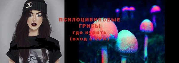 дурь Дмитриев