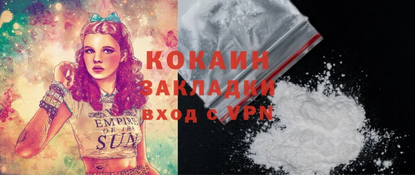дурь Дмитриев