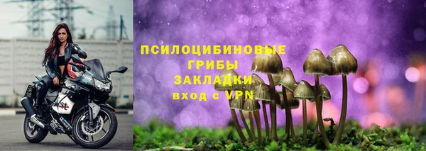 спиды Дмитровск