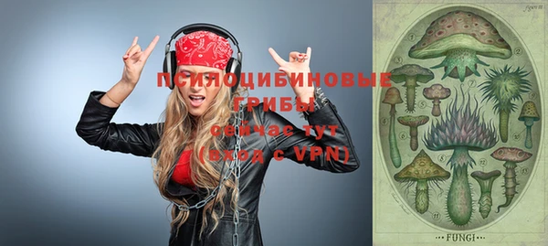 дурь Дмитриев