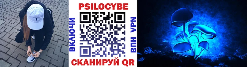 Псилоцибиновые грибы мицелий  blacksprut как зайти  Жирновск 