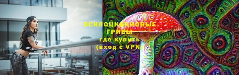 Галлюциногенные грибы Psilocybe  Жирновск 